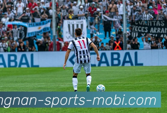 江南体育平台生态图